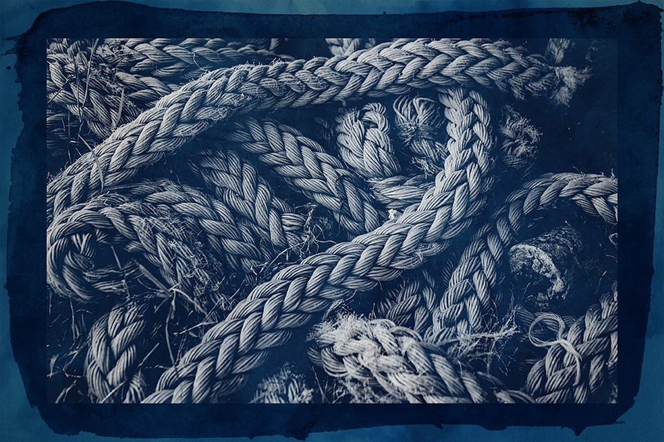 zB.FOTO – New Cyanotype April 2026 - Image 5